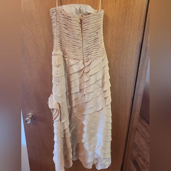 Beautiful Gown - Picture 4 of 5